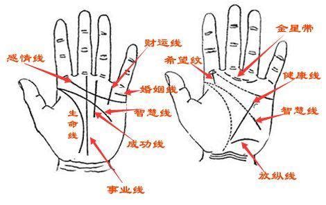 手相大全|手相解析大全